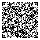 QR код "Спутник"