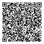 QR код "Novel dent"