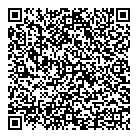 QR код "Пицца Домино"