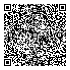 QR код "Пицца Домино"