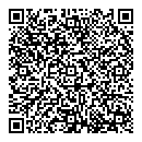 QR код "СССР"