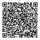 QR код "Тесла"