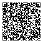QR код "DNS"