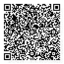 QR код "Алиса"