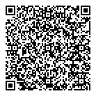 QR код "Профессионал"