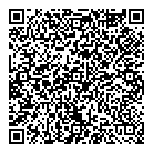QR код "Альфа-блеск"