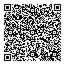 QR код "Эльза"