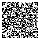 QR код "Гармония сфер"