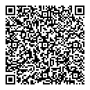 QR код "Домино"
