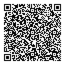 QR код "Лиза"