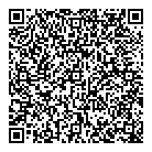 QR код "Стиль Professional"