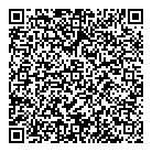 QR код "Викинги"