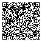 QR код "Детский сад №95"
