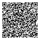 QR код "Игрушка"