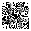 QR код "Chosen Store"