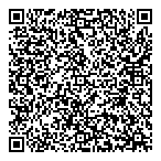 QR код "Вилли Винки"