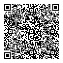 QR код "Surprise"