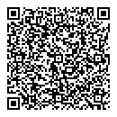 QR код "Lego"