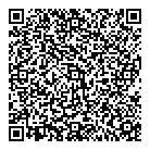 QR код "InstaПенное"