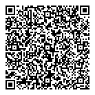QR код "Домино"