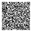 QR код "Викинг"
