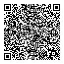 QR код "Диско"