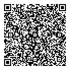 QR код "Везувий"