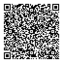 QR код "Близнецы"