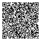 QR код "Паутина"