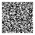 QR код "DveGolovi"