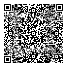 QR код "Дон Кихот"