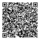 QR код "Глобус"