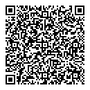 QR код "Vinyl Sky"