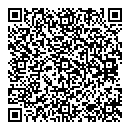 QR код "Блиц"