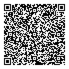 QR код "Art Vinyl"