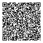 QR код "Art Vinyl"
