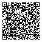 QR код "Art Vinyl"