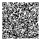 QR код "Вулкан"