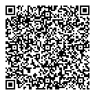 QR код "Вулкан"