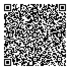 QR код "Вулкан"