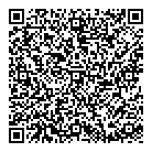 QR код "Вулкан"