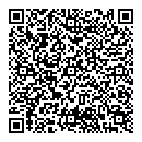 QR код "Феникс"