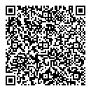 QR код "Девять"