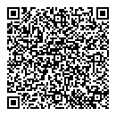 QR код "Блеск"