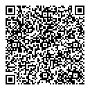 QR код "Блеск"