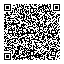 QR код "БИС"