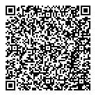 QR код "Профессионал"