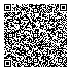 QR код "Спутник"