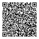 QR код "Спутник"