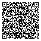 QR код "Red Wings"